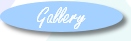 Art Gallery Page